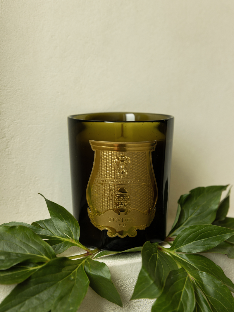 Cire Trudon - Dada – Market by Modern Nest