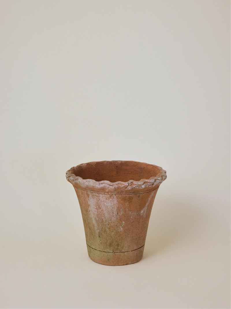 Aged Pie Crust Planter