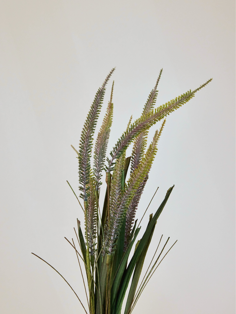 Veronica Meadow Bunch