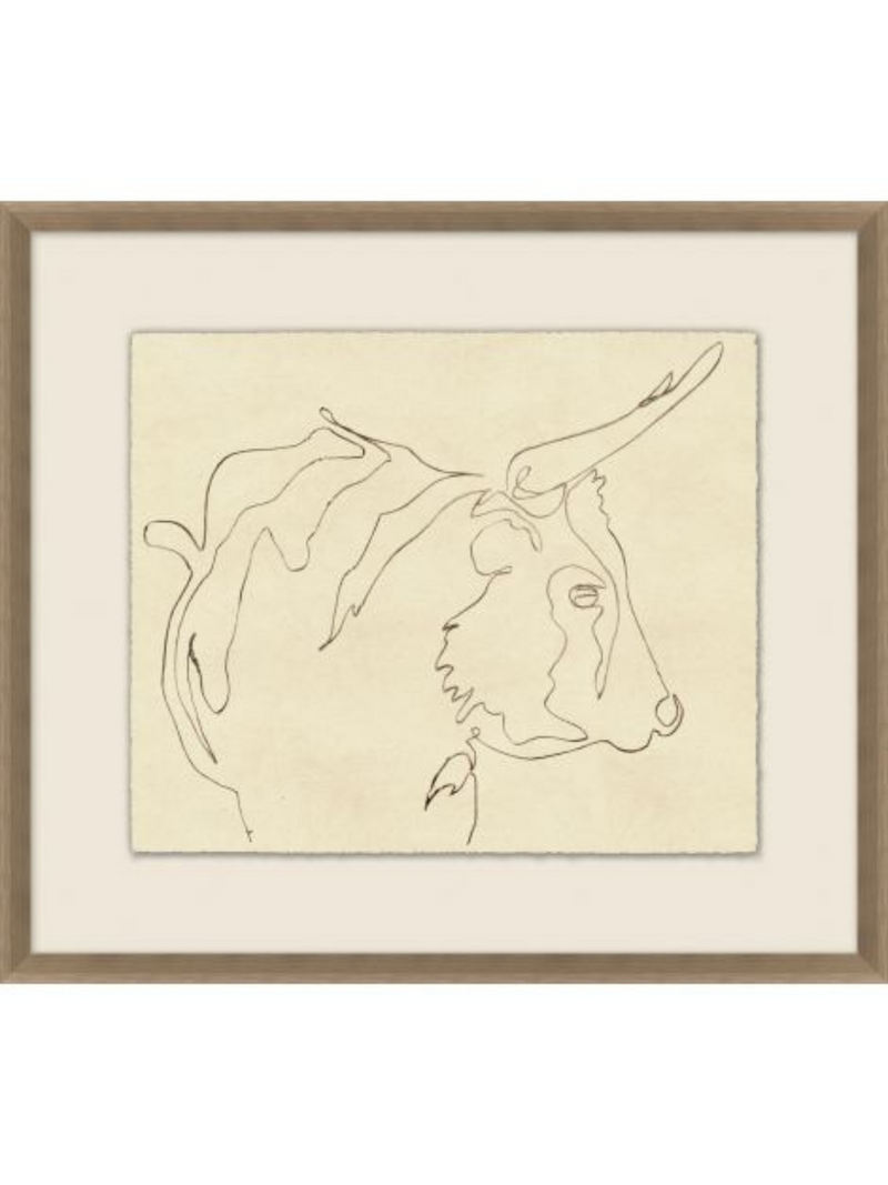 A Bull's Horn Sketch 1