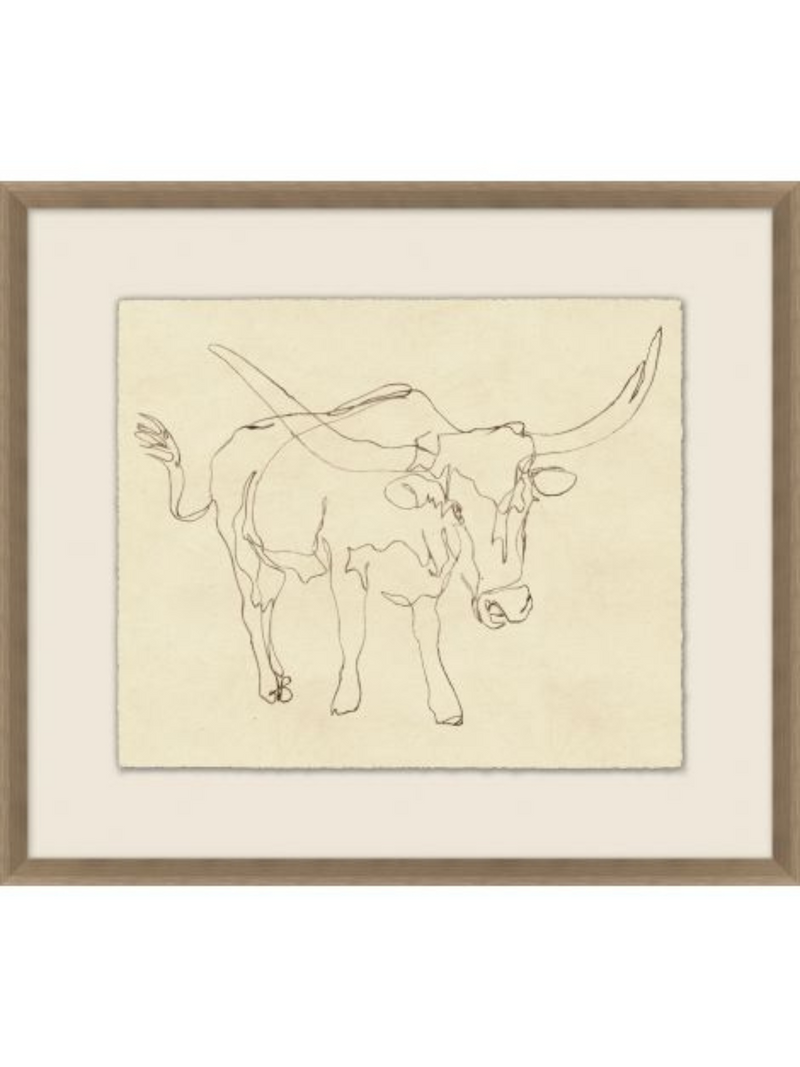 A Bull's Horn Sketch 2
