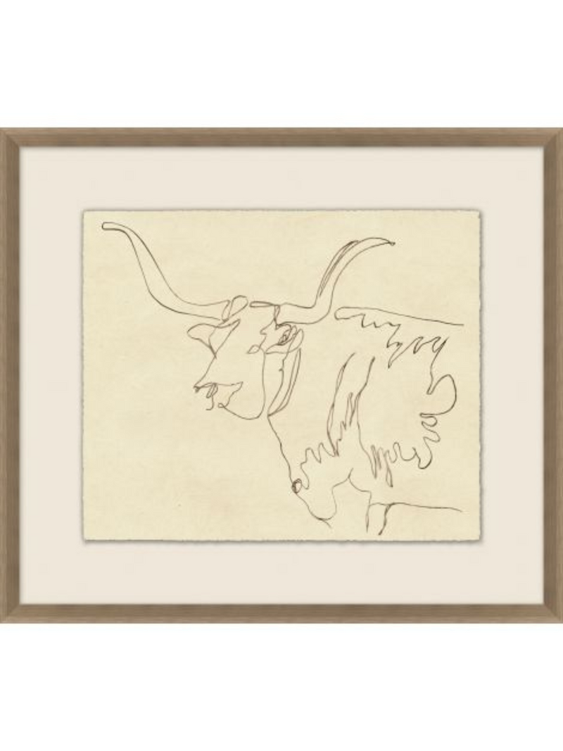 A Bull's Horn Sketch 3