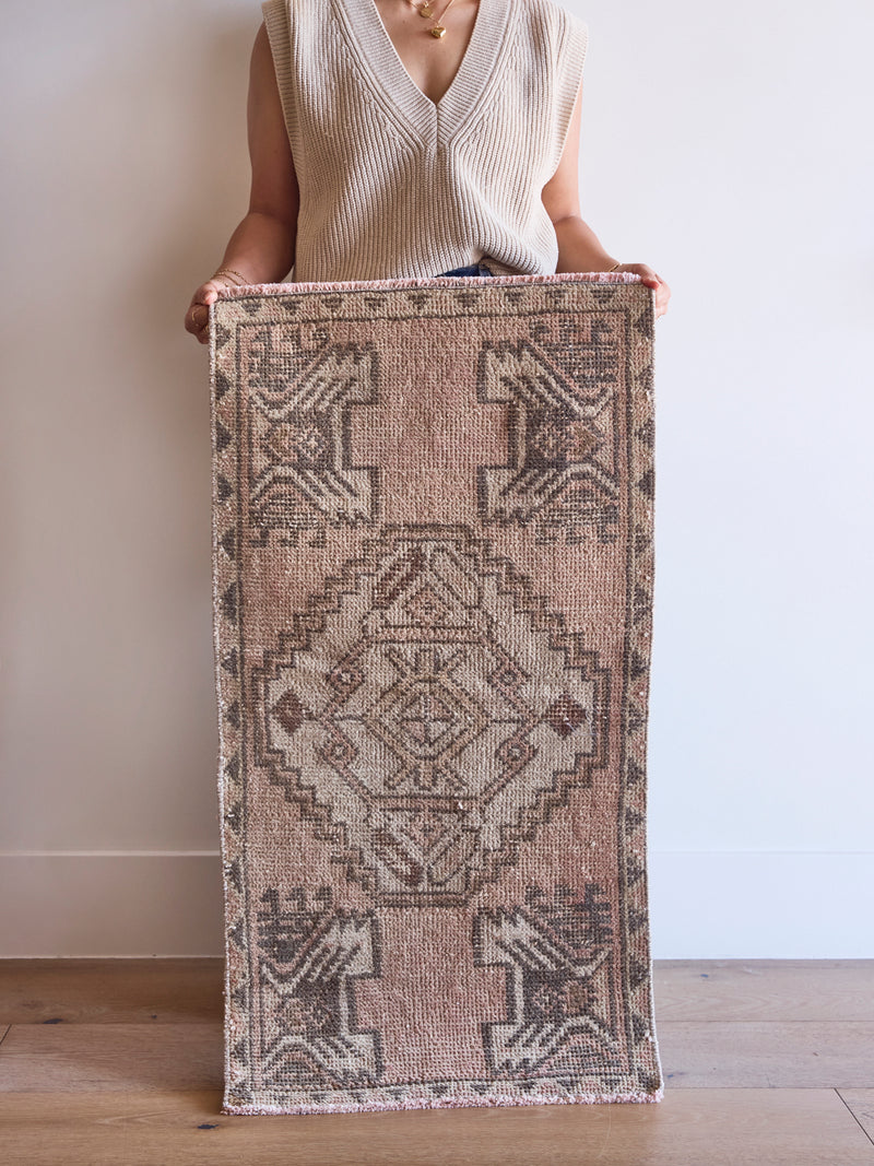 Liora Rug