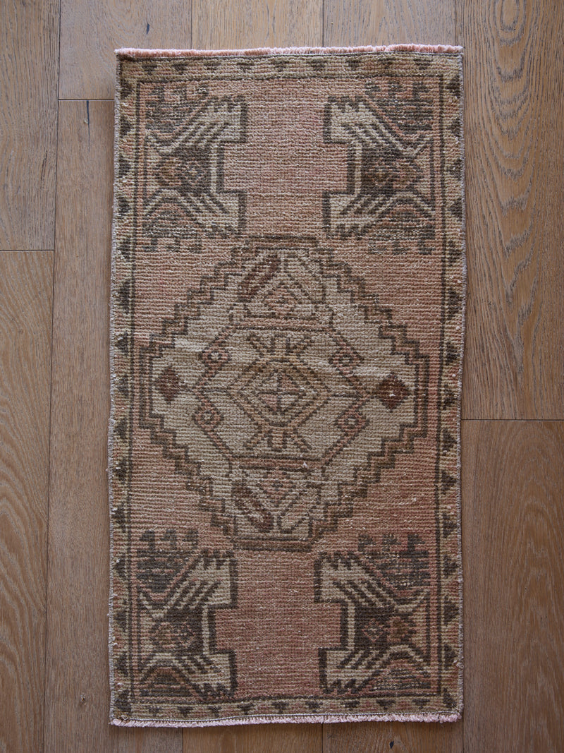 Liora Rug