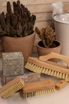 Vegetable Brush