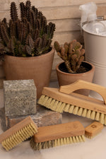 Vegetable Brush