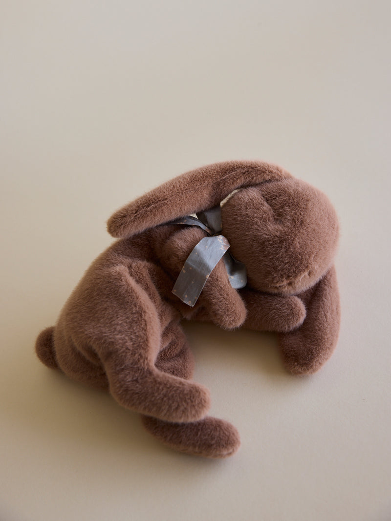 Barrett Bunny