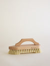 Scrub Brush