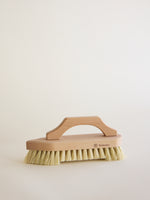 Scrub Brush