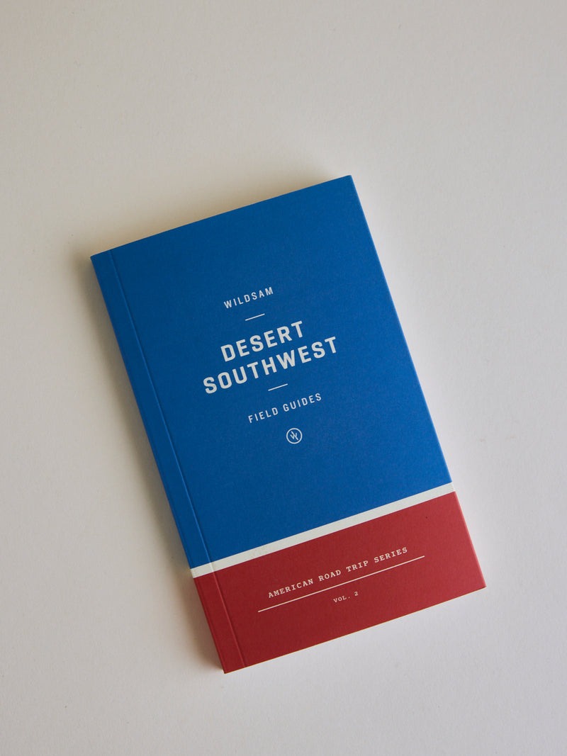 Desert Southwest Road Trip Guide