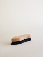 Upholstery and Clothes Brush