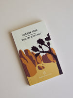Joshua Tree National Park Guide