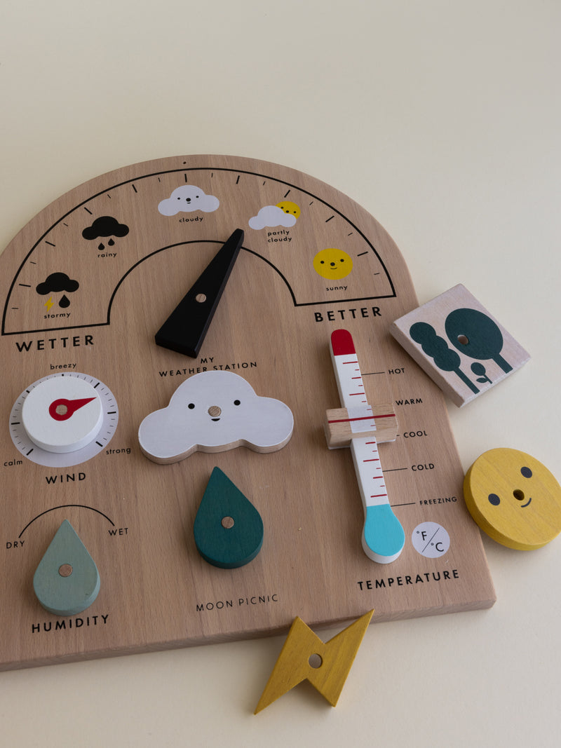 My Weather Station