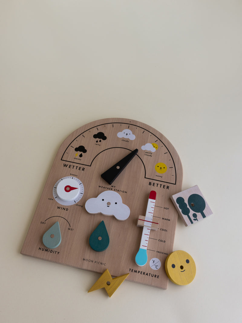 My Weather Station