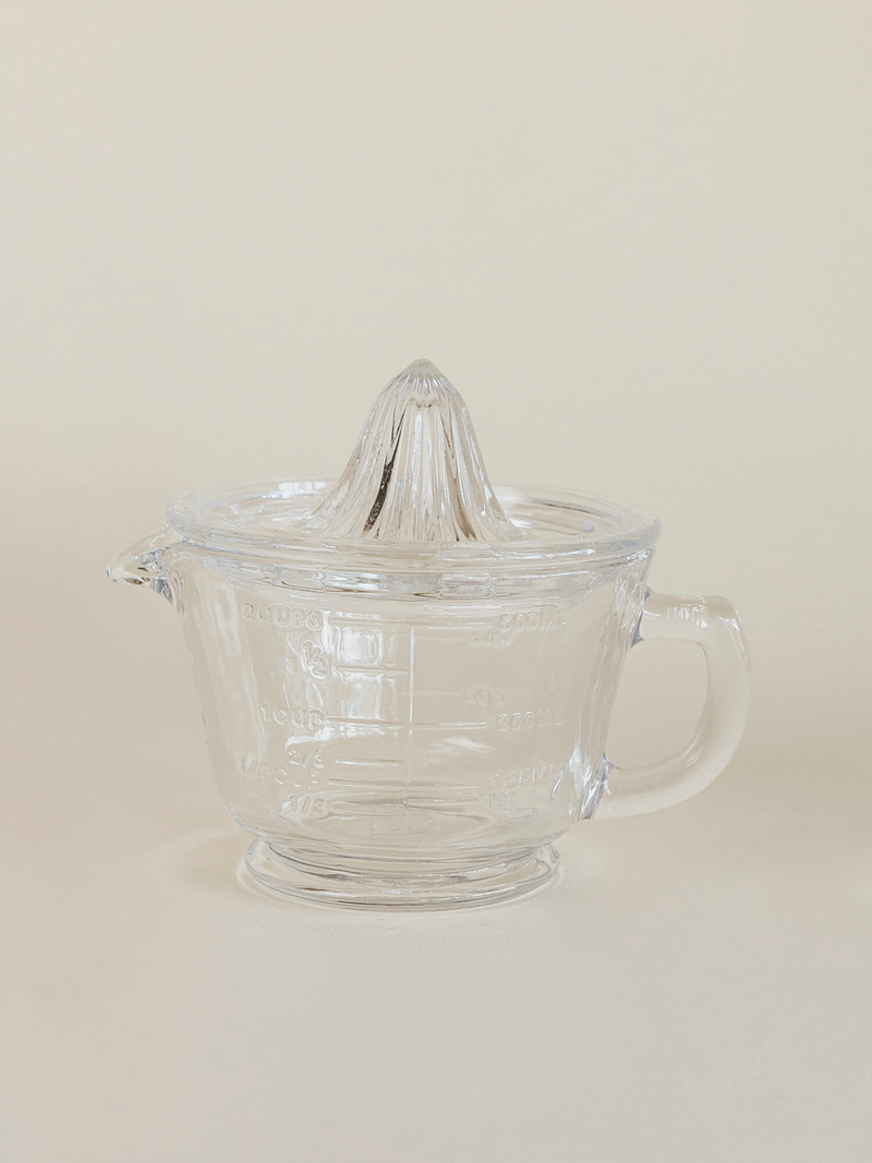 Citrus Juicer