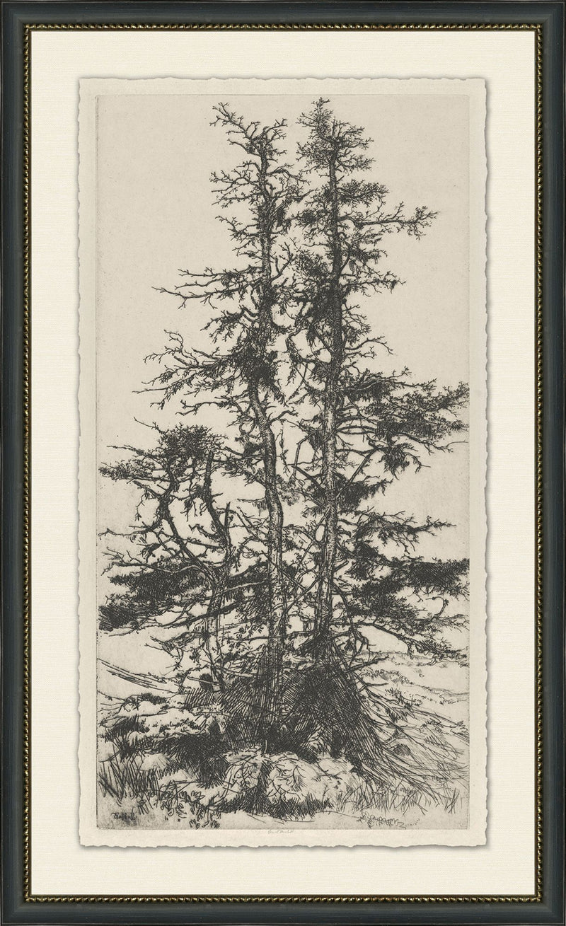 Forest Edge - Market