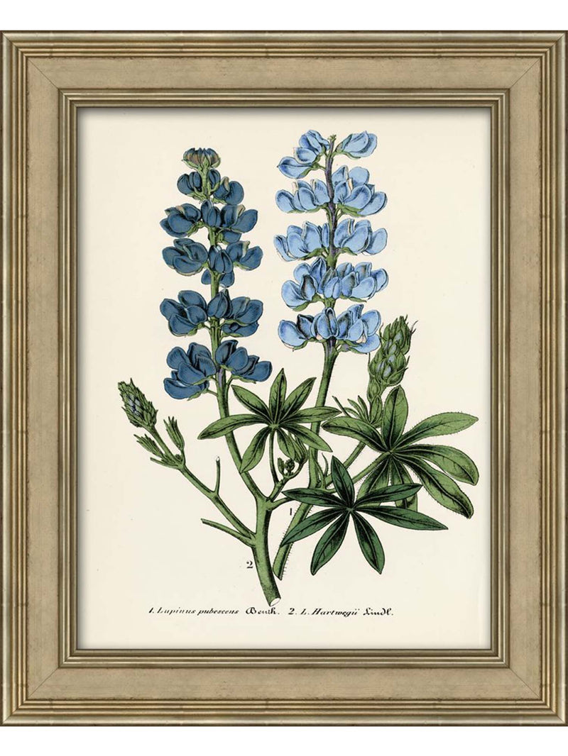 Blue Botanical Three