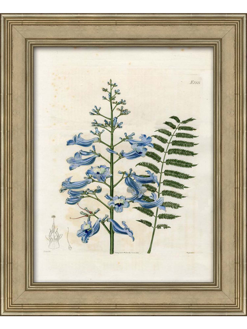 Blue Botanical Two